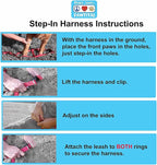 Pawtitas Multicolor Step-in Dog Harness – Adjustable No-Pull Vest for Puppies to Seniors, Safe & Comfortable S Blue/Teal/Yellow