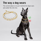 Stainless Steel Dog Pinch Collar - Gold Prong Martingale Collar, Adjustable Size for Medium & Large Dogs (XL, Gold)
