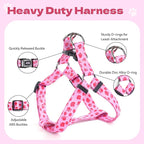 QQPETS Dog Harness Leash Set Adjustable Heavy Duty No Pull Halter Harnesses for Small Medium Large Breed Dogs Back Clip Anti-Twist Perfect for Walking