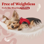 rabbitgoo Small Dog Harness, Step-in Soft Mesh Puppy Vest with Safety Buckle, Breathable Reflective Pet Harness for Extra Small Dogs, Red XXXS