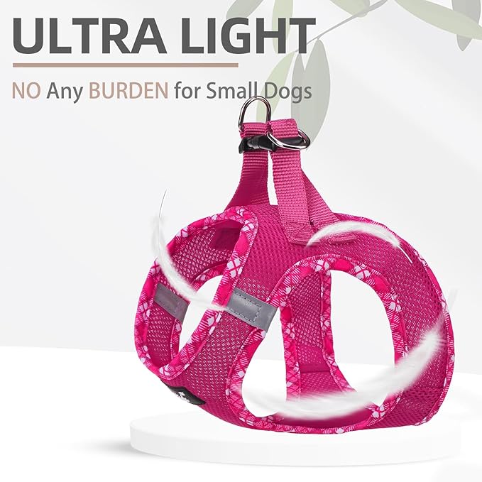 PUPTECK Dog Harness and Leash Set for Small Medium Dogs No Pull Step-in Soft Mesh Puppy Cat Vest Harnesses Reflective at Night, Fuchsia, M