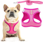 PUPTECK Dog Harness and Leash Set for Small Medium Dogs No Pull Step-in Soft Mesh Puppy Cat Vest Harnesses Reflective at Night, Denim Pink S