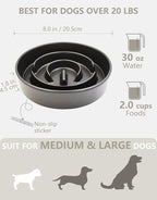 Ceramic Slow Feeder Dog Bowls, 2.0 Cups Slow Feeder for Medium Dogs, Puzzle Maze Bowl to Slow Down Eating, 30oz, 8in, Black