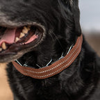 Herm Sprenger Brown Reflective Nylon Cover for Ultra-Plus Pinch Dog Collar for Small Medium Large Dogs Durable Protector for Dog Training Prong Collar (19in (47.5cm))