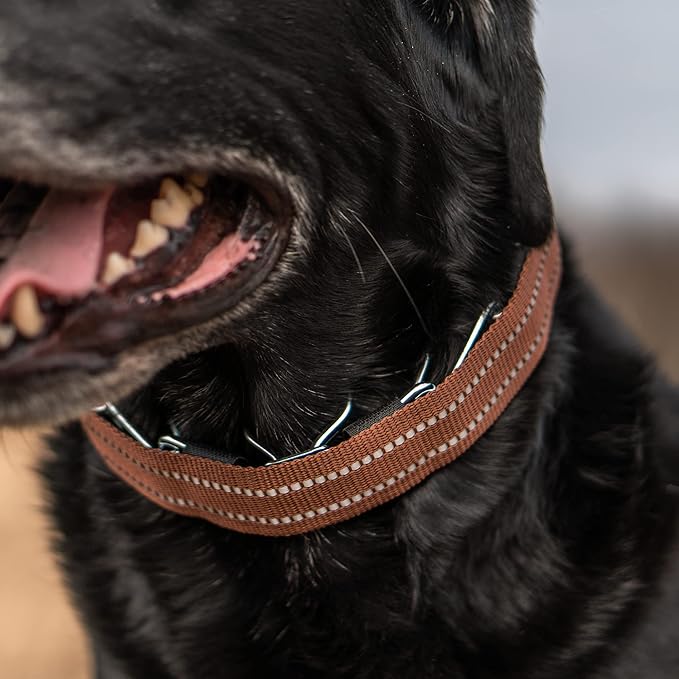 Herm Sprenger Brown Reflective Nylon Cover for Ultra-Plus Pinch Dog Collar for Small Medium Large Dogs Durable Protector for Dog Training Prong Collar (15.5in (39.5cm))