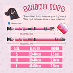 Martingale Collar for Dogs Large Medium Small Heavy Duty Buckle Dog Collar with Tag Ring Reflective Nylon Gradient Dog Collar No Pull Training Collar