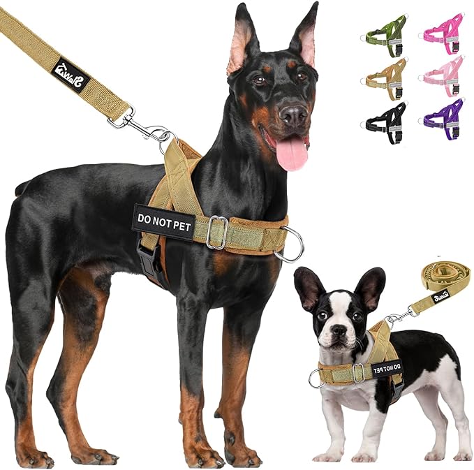 Lukovee No Pull Dog Harness & Leash Set - Heavy Duty Dog Vest Harness with Soft Padded for Medium Large Dogs, Adjustable Reflective Tactical Pet Harness for Easy Walk and Training (S, Yellow)