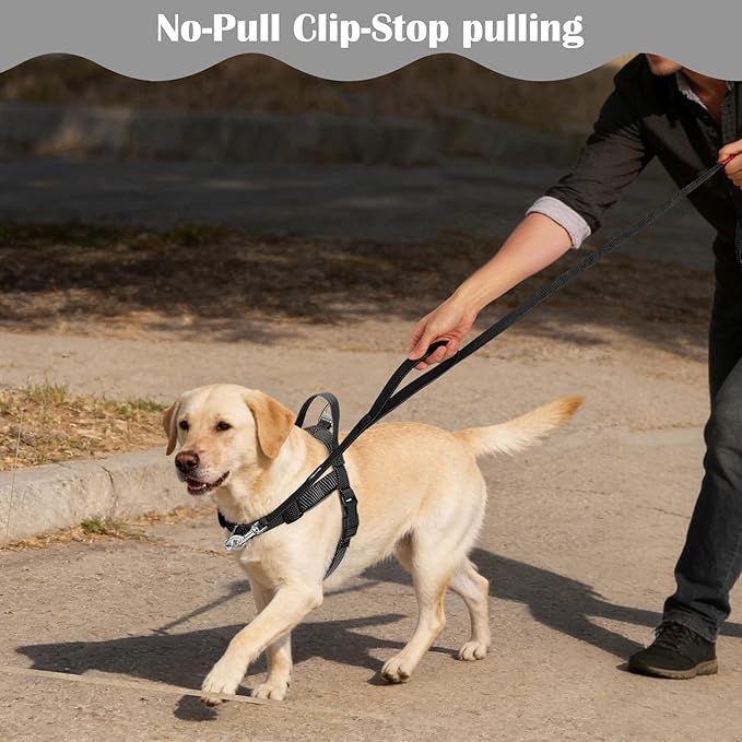 Annchwool No Pull Dog Harness with Front Clip and Easy Control Handle-Belly & Chest Adjustable Dog Harness and Leash Set for Small Medium Dogs-Heavy Duty Vest Harnesses Easy for Walking(Black,S)