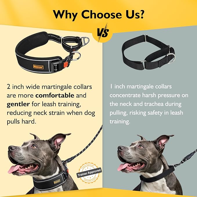 Mayerzon 2 Inch Wide Martingale Collar for Large Dogs, Patented No Pull Walking Training Dog Collar for Pitbull German Shepherd, with Buckle, Reflective Stitching, Adjustable (Black, XL)