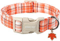 ARING PET Fall Dog Collars, Cute Orange White Plaid Halloween Autumn Pumpkin Maple Leaves Pet Collar with Quick Release Buckle for Small Medium Large Girl Boy Dogs-L