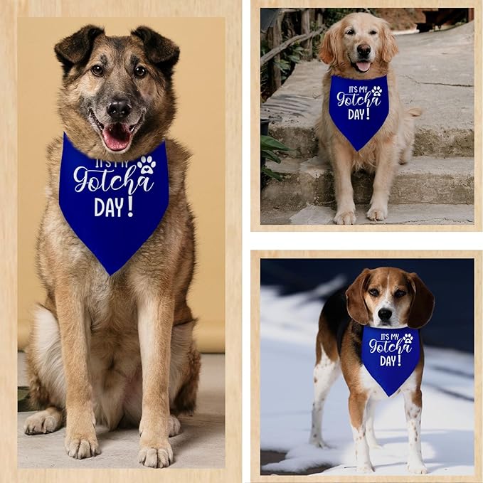 It's My Gotcha Day Blue Dog Bandana Adoption Day Dog Bandana for Dogs Funny Pet Dog Puppy Bandana Photo Prop Accessories for Pet Dog Lovers Owner Gift