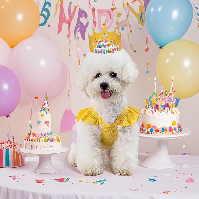 Dog Birthday Dress It's My Birthday Dog Dress Small Doggy Girl's Tutu Dresses Ruffle Sleeless Puppy Clothes Tulle Lace Skirt Pet Costume Cat Outfits (Yellow, M(12-18lb))