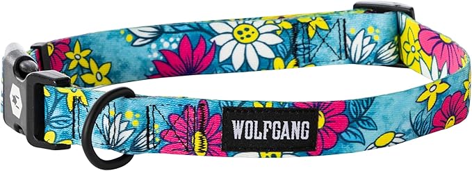 Wolfgang Heavy Duty, Adjustable Dog Collar with Quick Release Nylon Buckle for Walking & Training, LazyDaisy Print, Small