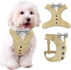 AVERYDAY Dog Tuxedo for Wedding Outfit, Dog Suit and Tie Costumes for Birthday, Halloween, Cosplay, Christmas Party, Pet Formal Wear with Bowtie, Tux for Small Dogs, Chihuahua, Bichon, Maltese, Cats