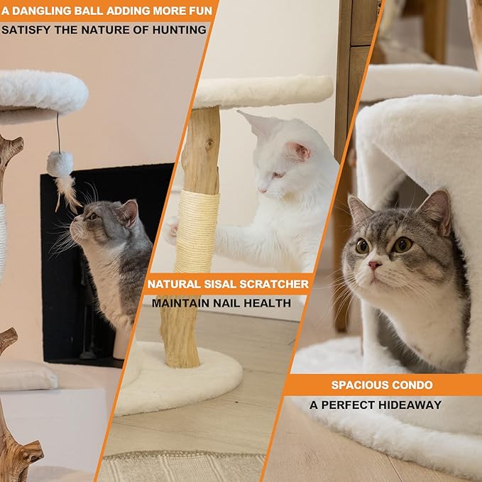 Petest Cat Tree 38 Inch Real Wood Cat Tower with Natural Branches, Cat Condo for Indoor Cats, Modern Cat Furniture with Sisal Scratching Post, Perches & Hanging Toy