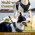 rabbitgoo Dog Harness Small Sized, No Pull Dog Vest with 3 Buckles, Adjustable Soft Padded Pet Harness with Easy Control Handle and Reflective Strips, Black, S