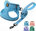 BELLA & PAL Step in Vest Harness for Small and Medium Dogs, No Pull Small Dog Harness with Leash Set, Comfortable Air Mesh Dog Vest Harness with Reflective Strip (Sky Blue, L)