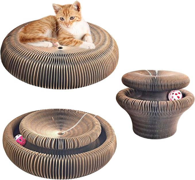 Magic Organ Cat Scratching Board & Interactive Toy Set - Durable Cardboard Scratcher with Scratching Ball for Indoor Cats - Mental & Physical Exercise for Kittens & Adult Cats