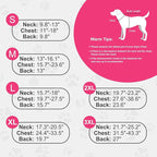 Doglay Dog Coat, Waterproof Dog Jacket Pet Winter Coat for Cold Weather with Thicken Furry Collar, Reflective Puppy Winter Jacket Warm Fleece Lining for Small Medium Large Pets