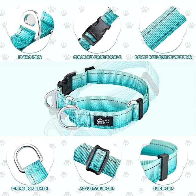 Martingale Collar for Dogs Large Medium Small Heavy Duty Buckle Dog Collar with Tag Ring Reflective Nylon Gradient Dog Collar No Pull Training Collar