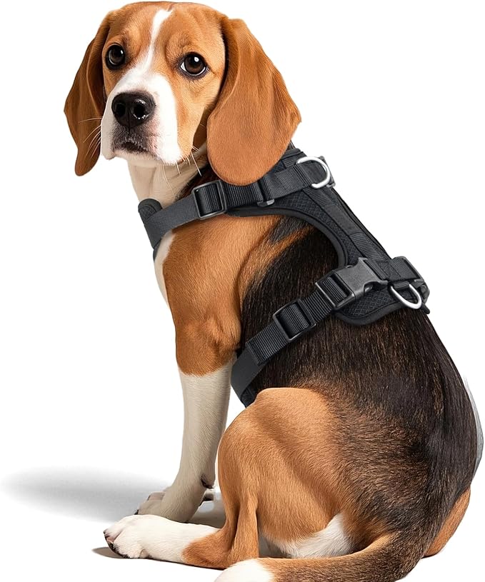 Wisedog Dog Harness Medium Sized, Pet Vest with Front Clip, Adjustable Puppy Harness with 3 Fast Release Buckles[Easy to Put on & Take Off] (Black, S)