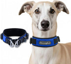 Comfort Fit Dog Collar, Anti-Choke Neck Safe Dog Training Collar, Wide Padded, Breathable, Adjustable with Dual D-Rings, Soft Cushion Neck Protector for Dogs (S, Blue)