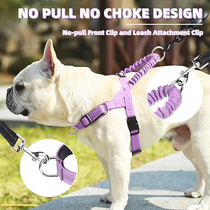 PUPTECK No Pull Dog Harness Small Sized Dog, Adjustable Reflective Pet Vest Harness with Bungee Handle, Escape Proof No Choke Harness for Small Dogs Walking Training, Purple S