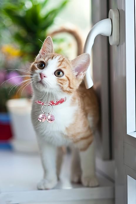 Cat & Dog Collar Bell, Pack of 2, Extra Loud Dog Bell for Pet Tracking & Saving Wildlife, Birds, Durable Iron Split Ring & Lobster Bell Clip (Nickel, 2 Pack)