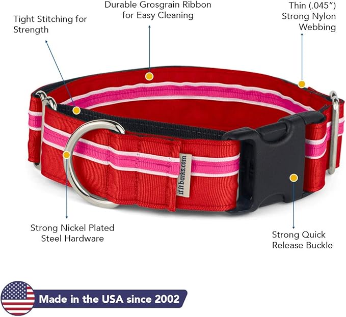 If It Barks - 1.5" Martingale Collar for Dogs - Quick Snap Release Buckle - Adjustable - Nylon - Strong and Comfy - Ideal for Training - Made in USA - Medium, Shortcake