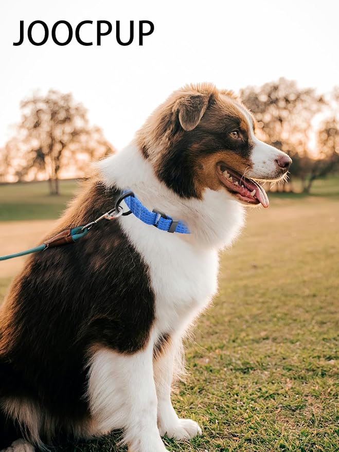 Martingale Collar for Dogs, Adjustable Soft Nylon Dog Collars with Special Design Cute Patterns (Blue, S (1" x 12"-15.8"))