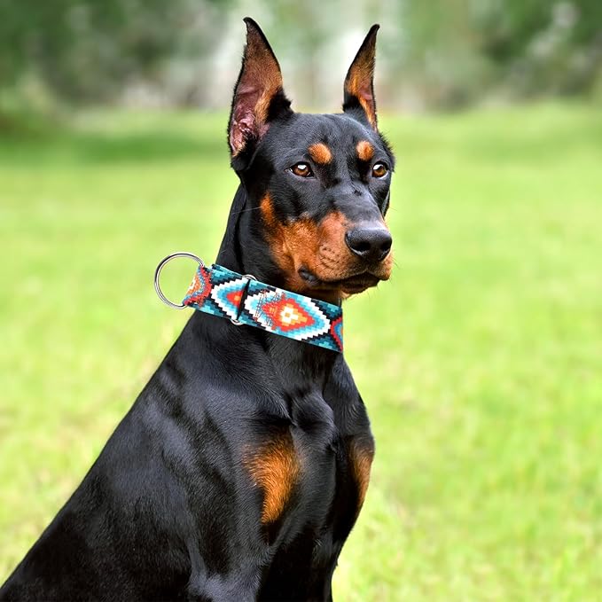 Martingale Collar for Dogs - Dog Training - Big, Wide & Thick Dog Collar - Escape-Proof,Durable and Comfortable- Tribal Extra Large Dog Collar