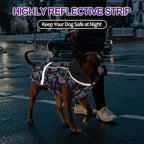 Doglay Dog Coat, Waterproof Dog Jacket Pet Winter Coat for Cold Weather with Thicken Furry Collar, Reflective Puppy Winter Jacket Warm Fleece Lining for Small Medium Large Pets
