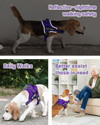 AUROTH Dog Harness and Leash Set, Soft Padded Service Dog Vest with 5.25FT Dog Leash, No Choke, Easy On Pet Vest, Adjustable Reflective No Pull Dog Harness for Large Dogs, Easy Walking and Training