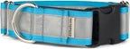 If It Barks - 1.5" Reflective Martingale Collar with Quick Snap Buckle for Dogs - Adjustable - Made in USA - Strong, Durable, and Comfy - Ideal for Training - Fits Most Breeds - Medium, Turquoise