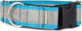 If It Barks - 1.5" Reflective Martingale Collar with Quick Snap Buckle for Dogs - Adjustable - Made in USA - Strong, Durable, and Comfy - Ideal for Training - Fits Most Breeds - Large, Turquoise