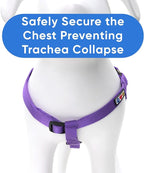 Pawtitas Solid Step-in Dog Harness – Adjustable No-Pull Vest for Puppies to Seniors, Safe & Comfortable XS Purple