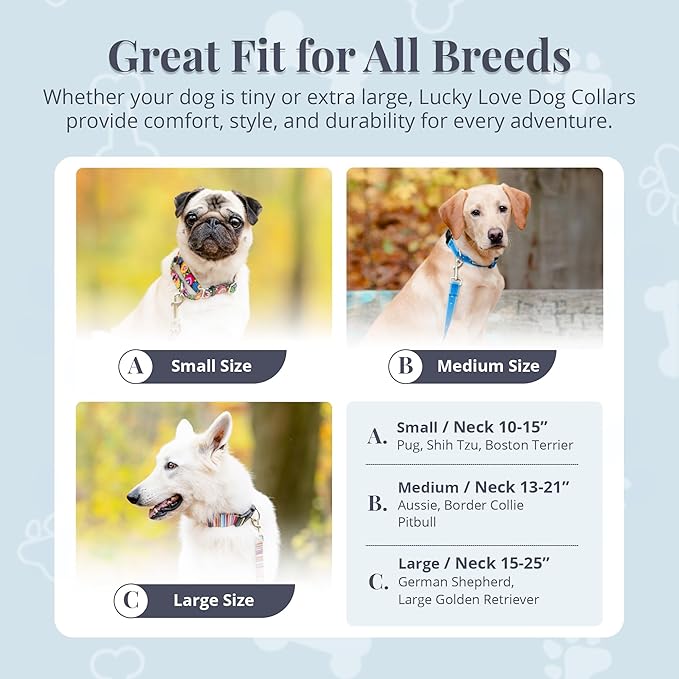Lucky Love Dog Martingale Dog Collar & Leash - Adjustable, No-Slip, Durable, Comfortable, Soft Webbing, & Stylish Patterned Dog Collar & Leash Set for Male and Female Dogs - Linus Combo, Medium