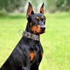 1.5 Inch Martingale Collar for Dogs - Dog Training - Big, Wide & Thick Dog Collar - Escape-Proof, Durable and Comfortable- for Large Breeds Walking, Running & Training -Leopard M