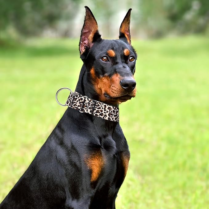 1.5 Inch Martingale Collar for Dogs - Dog Training - Big, Wide & Thick Dog Collar - Escape-Proof, Durable and Comfortable- for Large Breeds Walking, Running & Training -Leopard Extra Large