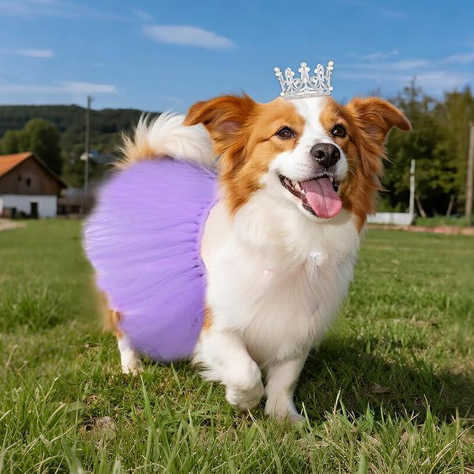 2 Pcs Dog Tutu Dress with Pearl Crown for Small Medium Pet Cat Dog Halloween Costume Dress for Ballet Birthday Party Wedding Photo Prop