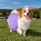 2 Pcs Dog Tutu Dress with Pearl Crown for Small Medium Pet Cat Dog Halloween Costume Dress for Ballet Birthday Party Wedding Photo Prop