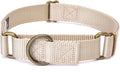 Country Brook Petz - Martingale Dog Collar - Heavy-Duty Training Collar with No Buckle - Service Dog Collar for All Pups - 10+ Warm Colors (Almond, 3/4 Inch, Small)
