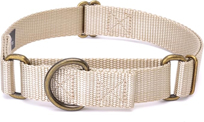 Country Brook Petz - Martingale Dog Collar - Heavy-Duty Training Collar with No Buckle - Service Dog Collar for All Pups - 10+ Warm Colors (Almond, 3/4 Inch, Small)