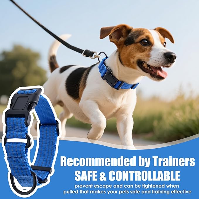 Martingale Collar for Dogs, Adjustable Soft Nylon Dog Collars with Special Design Cute Patterns (Blue, S (1" x 12"-15.8"))
