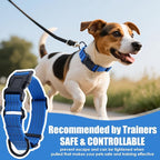 Martingale Collar for Dogs, Adjustable Soft Nylon Dog Collars with Special Design Cute Patterns (Blue, S (1" x 12"-15.8"))