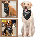 Dad Asked Dog Bandana Engagement Gifts for Couples Announcement Wedding Photo Prop Pet Scarf Accessories for Pet Dog Lovers Gifts