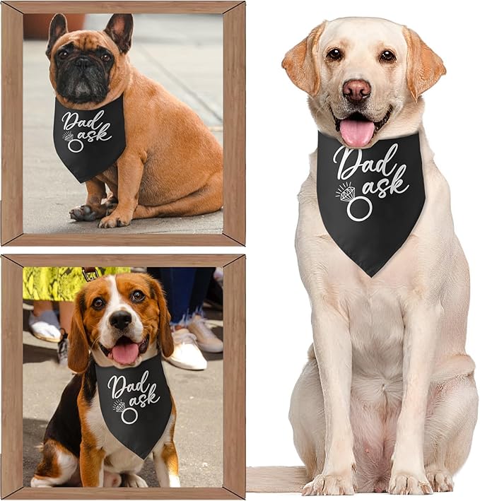 Dad Asked Dog Bandana Engagement Gifts for Couples Announcement Wedding Photo Prop Pet Scarf Accessories for Pet Dog Lovers Gifts