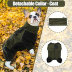 DENTRUN Small Dog Winter Coat, Warm Fleece Jacket with Removable Turtleneck, Dog Cozy Sweater for Puppy, Cold Weather Outfit, Windproof Costume, Soft Woolly Pajamas
