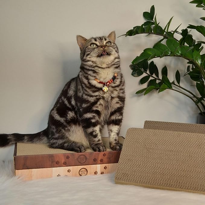 Necoichi Cardboard Cat Scratcher Bed for Indoor Cats - Cat Scratching Board (16" Regular, c. Replacement 2 Pads)