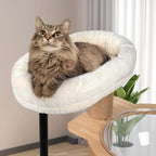 Solid Wood Cat Tree, 40" Tall Wooden Tower for Cats with Scratching Posts, Plush Perch, Large Space Capsule, Platforms, Removable Pads Heavy-Duty Indoor Cat Furniture Toys (Natural)